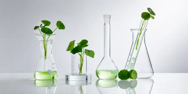 High Purity Plant Extracts